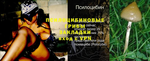 марки nbome Баксан