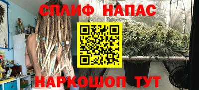 apvp Гагарин