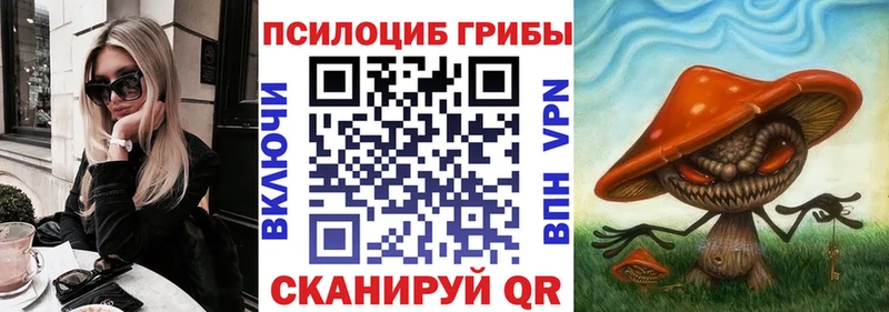 где купить наркоту  Горно-Алтайск  Псилоцибиновые грибы Cubensis 