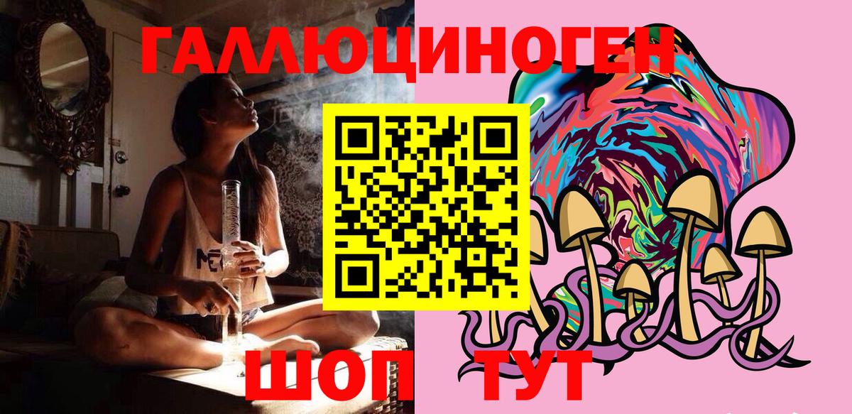 Галлюциногенные грибы прущие грибы  Горно-Алтайск 