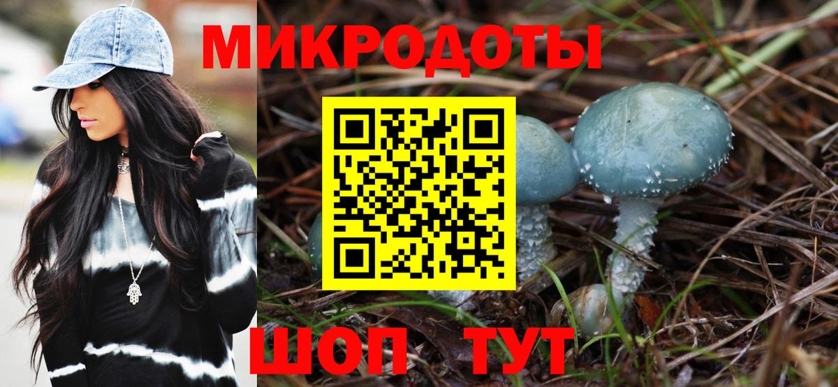 Псилоцибиновые грибы мицелий Горно-Алтайск